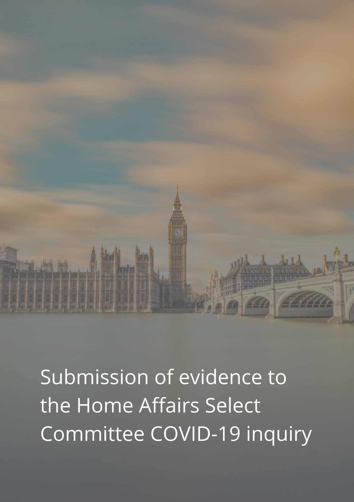 Submission of evidence to the home affairs select committee covid inquiry.
