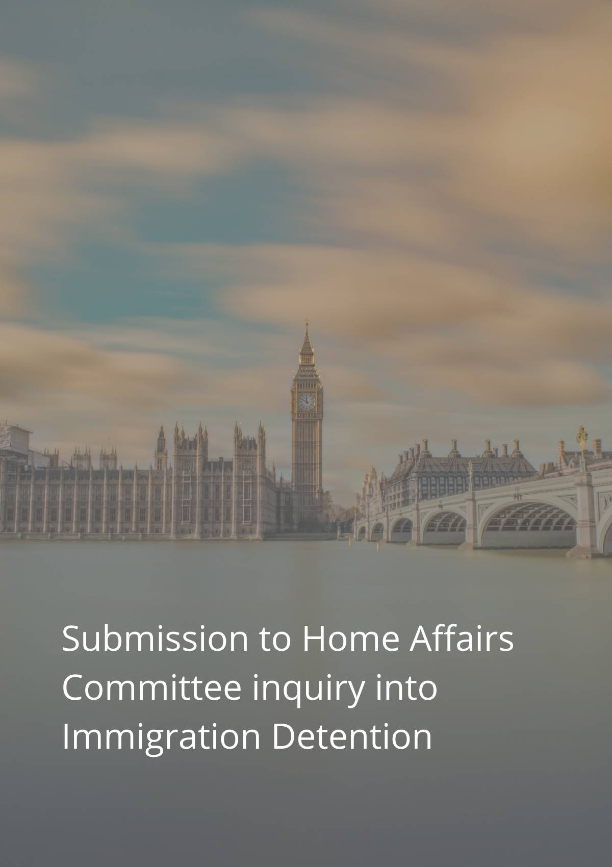 Submission to home affairs committee inquiry into immigration detention.