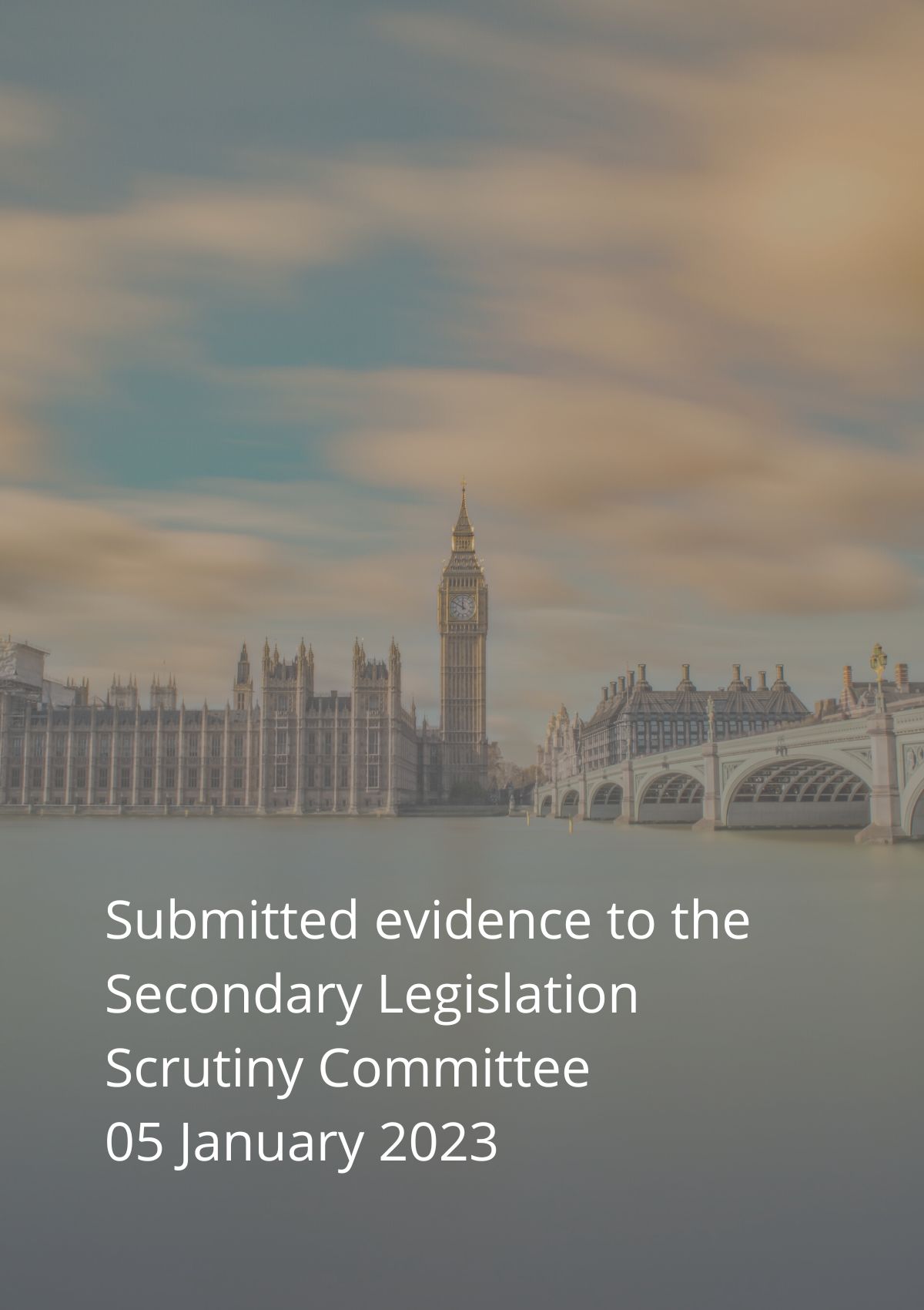 Submitted evidence to the secondary legislation security committee january 2013.