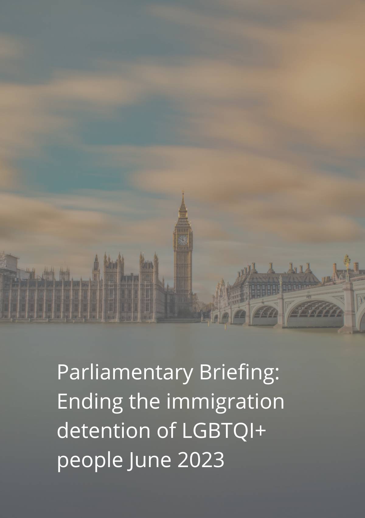 Parliament briefing ending the immigration detention of lgbtq.
